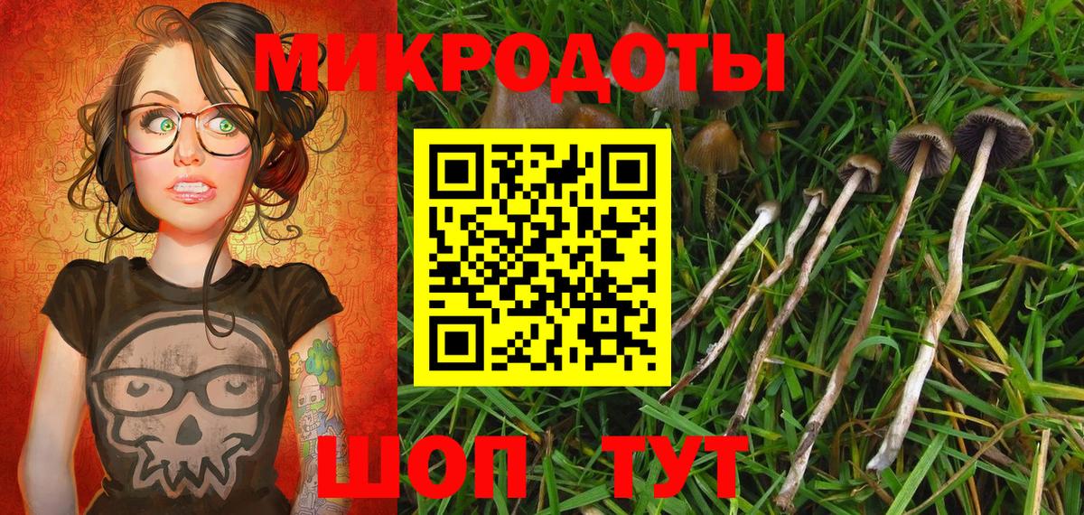 Галлюциногенные грибы GOLDEN TEACHER  Вход с VPN  Сосновый Бор 